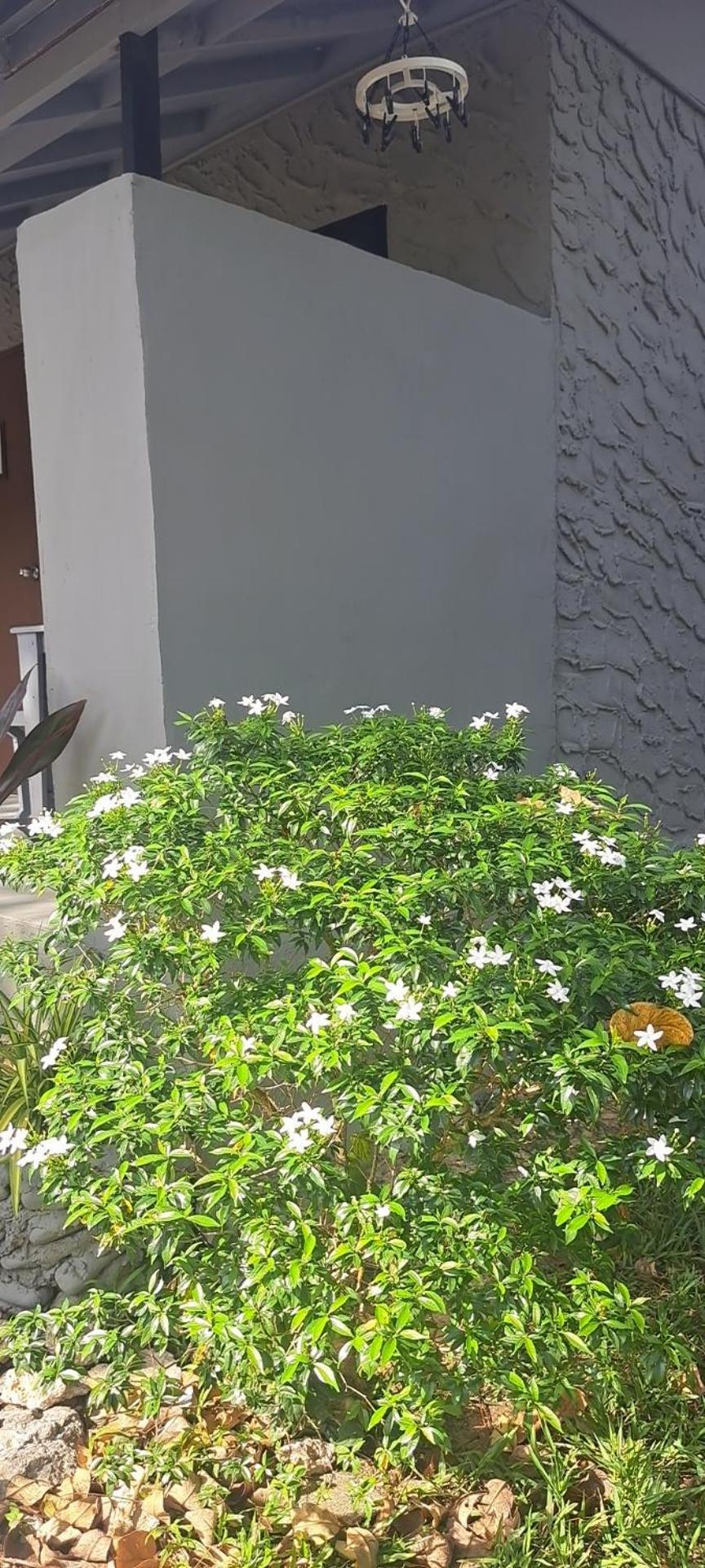 Siam Flora Resort Ko Lanta Exteriör bild